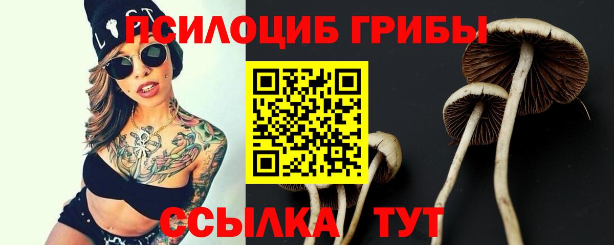 Белорецк  Псилоцибиновые грибы MAGIC MUSHROOMS  как найти   Вход с VPN 